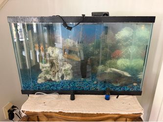 Fish tank