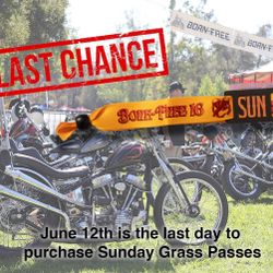 Born Free - Grass Pass *** SUNDAY ***