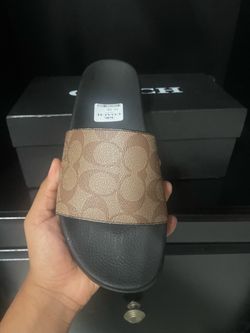Coach slides
