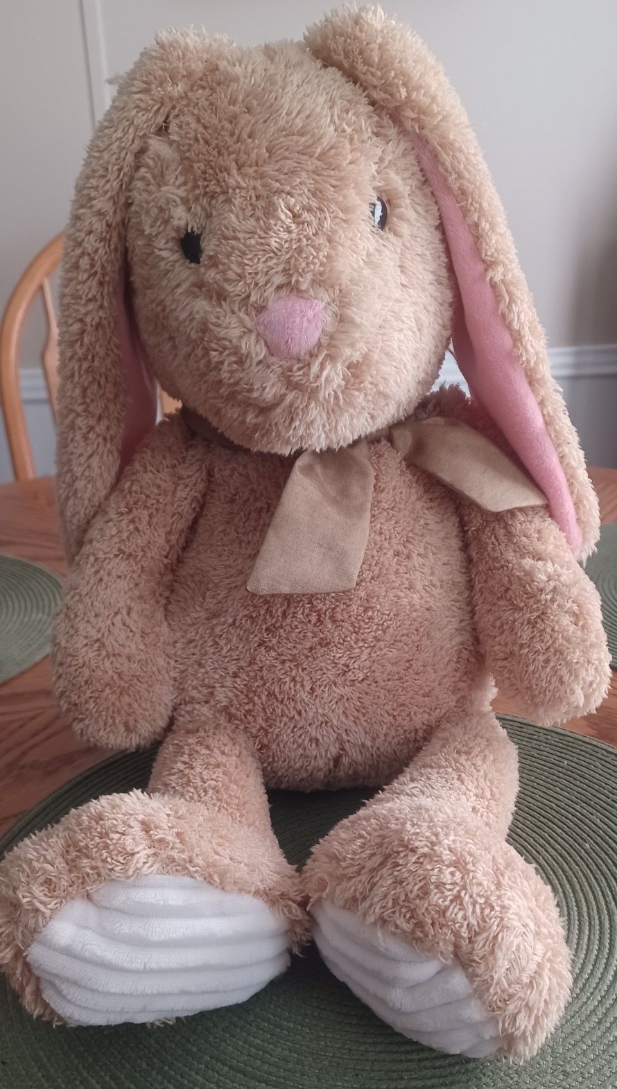 Plush Tan Floppy Ear Bunnie
