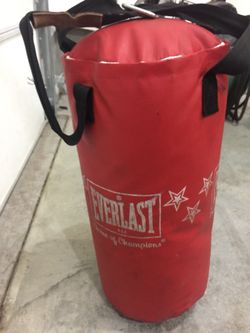 Everlast punching bag