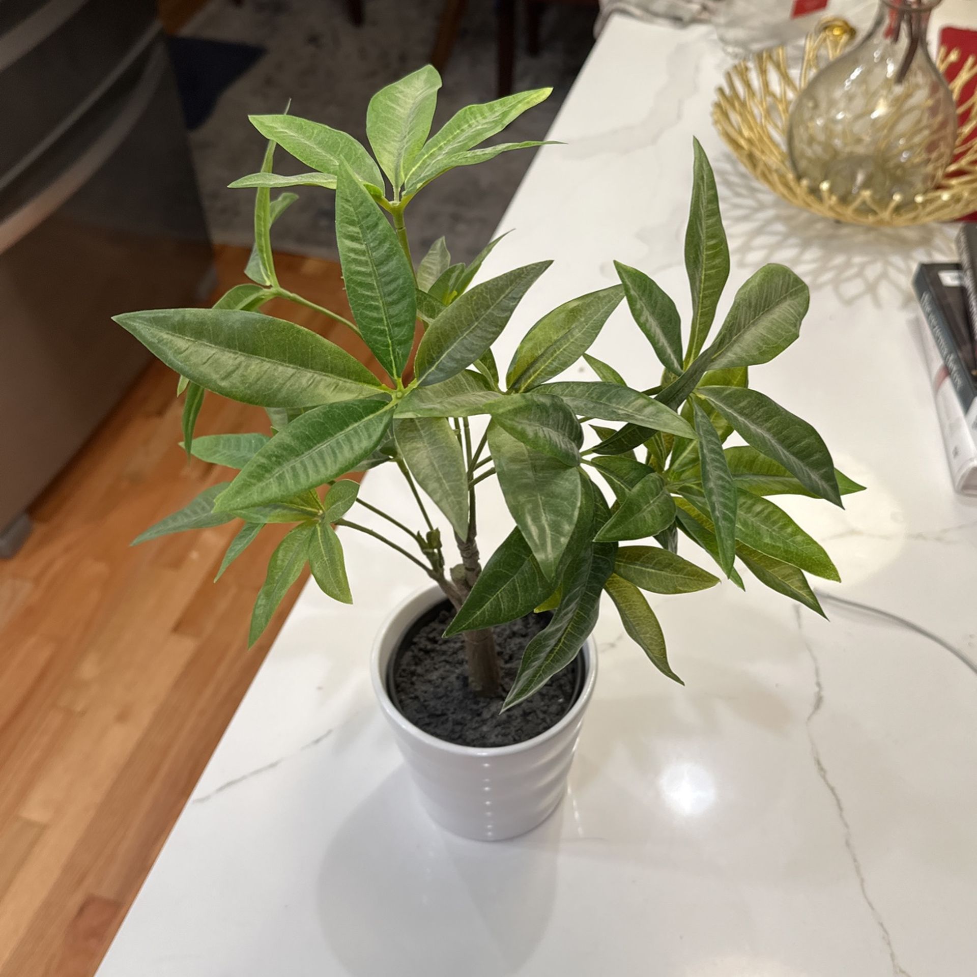 Fake Plant. $5
