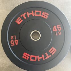 Weight/Bumper Plates  (4)
