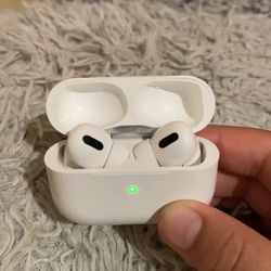 Apple Earphones 
