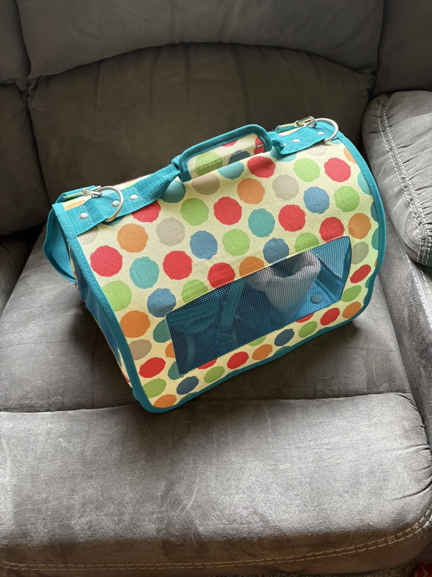 Small Animal Carrier And Costume