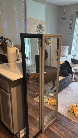 Body Mirrors