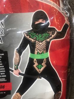 Dragon slayer ninja costume