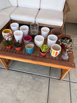 Plants pots bundle