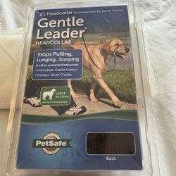 Gentle leader
