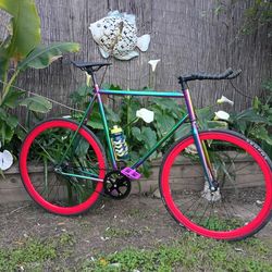 Golden Cycles fixie