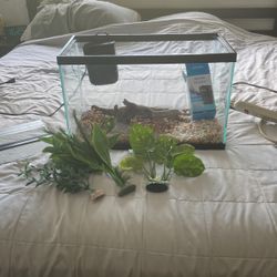10 Gallon Fish Tank Set Up 