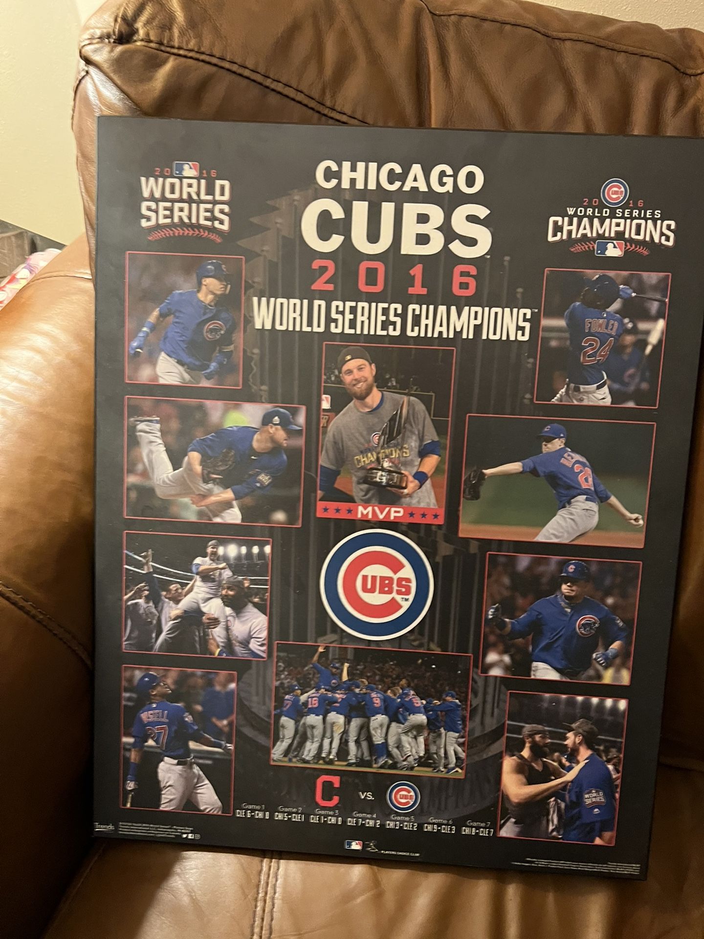 Cubs 2016 World Champion Plaque 