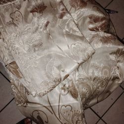 Champaign Floral Curtains 