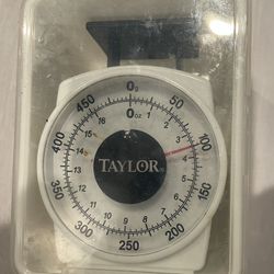 Taylor Mini scale