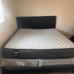 Everything Has To Go