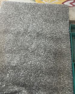 5' x 8' Shag Area Rug