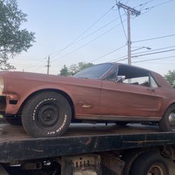 1968 Ford Mustang.  Great Project Car. From Florida 