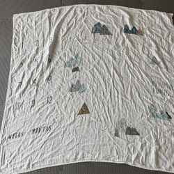 Baby Milestone Blanket 