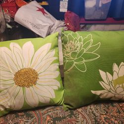 2 DECORATIVE PILLOWS 