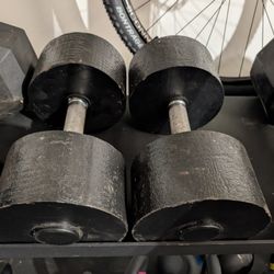 100lb Dumbbell Set 