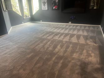Gray CARPET