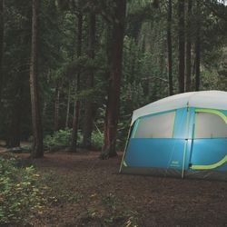 Coleman 8 Person Tent 
