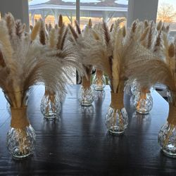 11 Vases With Pampas Grass 