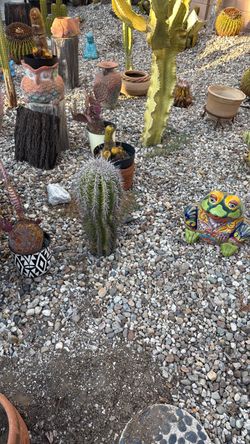 cactus