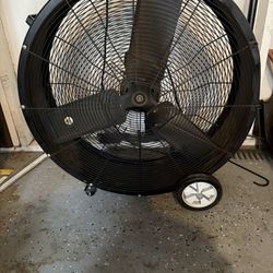 Fan