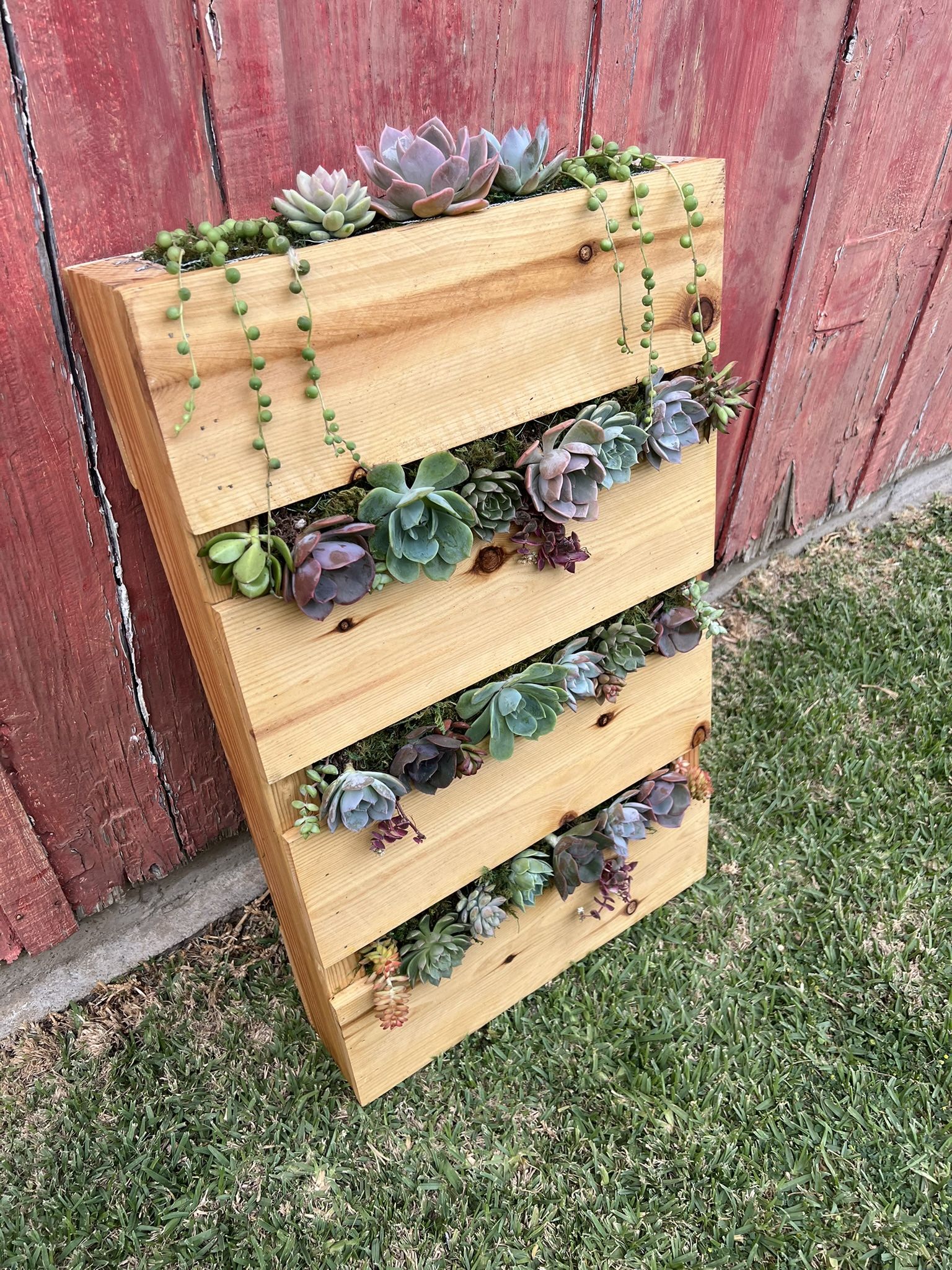 Succulent Pallet Garden Decor