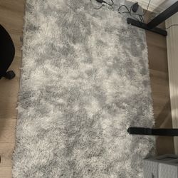 Large Shag Area Rugs 6 x 9