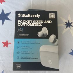 Skullcandy Mod Pocket Sized And Customized