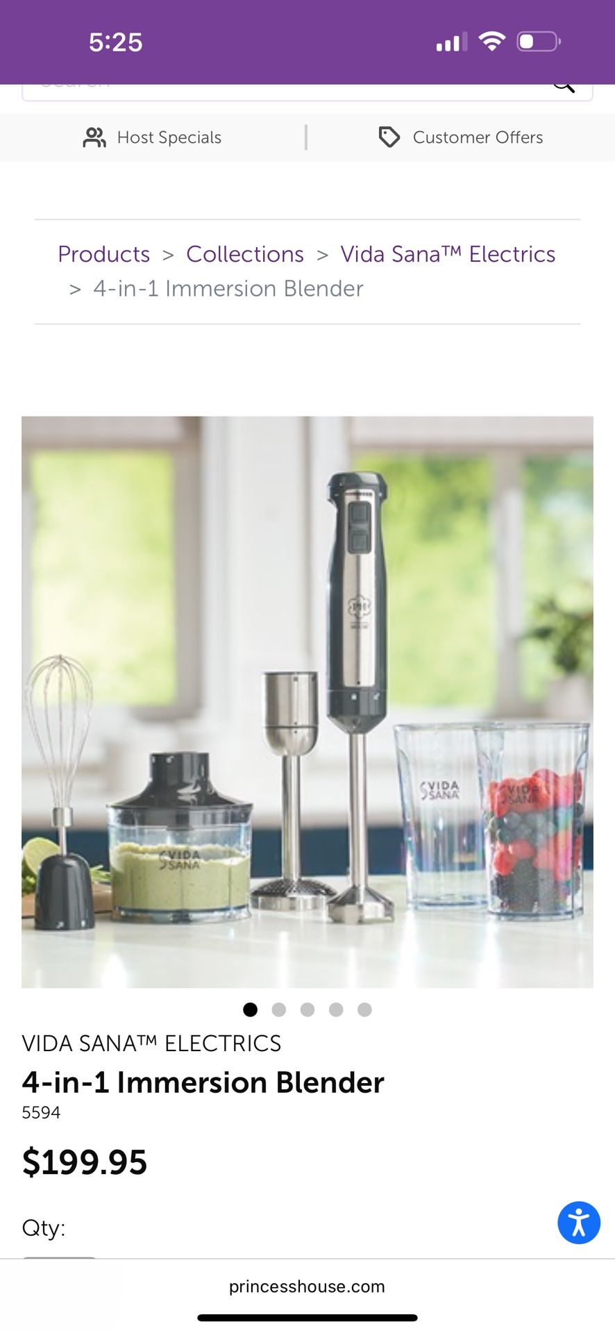 Immersion Blender 
