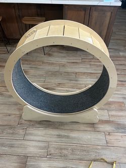 Cat exercise wheel