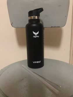 Vmini 22oz Stainless Steel Bottle w/Cleaning Brush And Long Straw