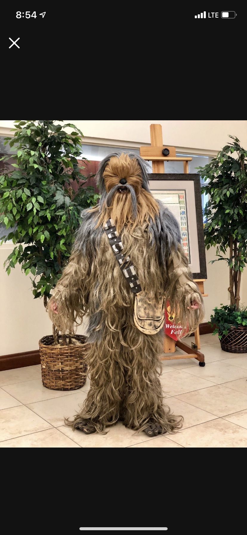 Authentic Replica Chewbacca Costume