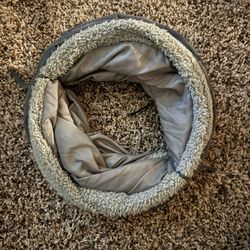 Cat Tunnel 