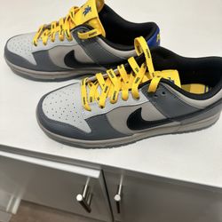 Nike Dunks North Carolina A&T 