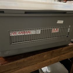 Large dog crate