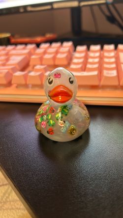 Duck