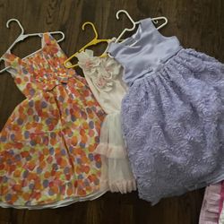 Little Girl Dresses 