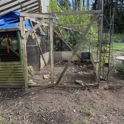 chicken run 