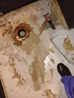 Professional Flooring Services