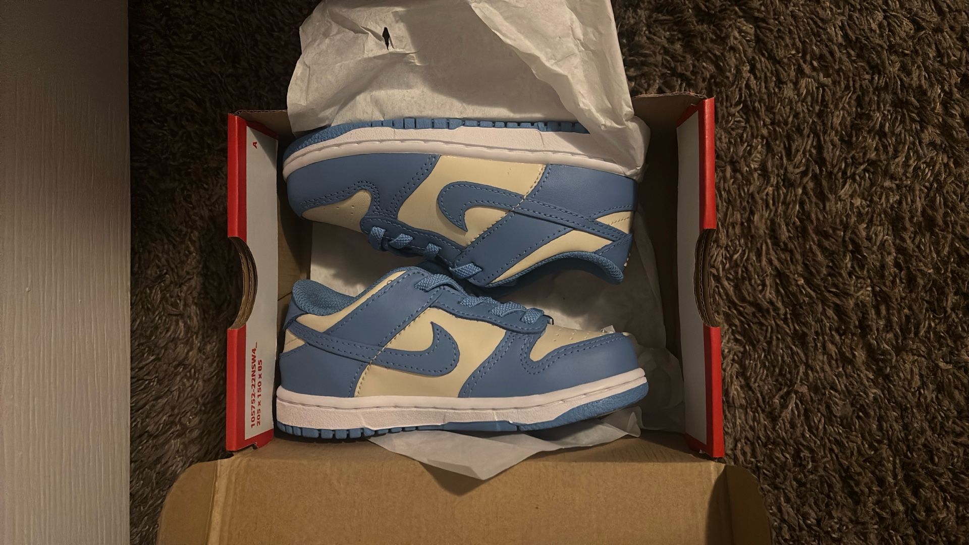 Nike Dunks Toddler