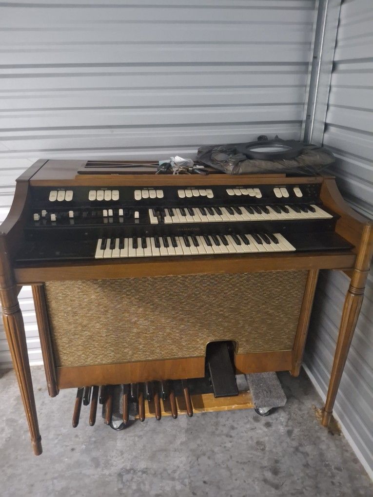 Organ