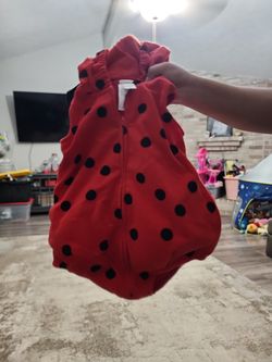 Lady Bug