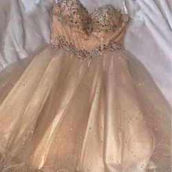 My  Quinceañera Dresses (Both Worn Once)