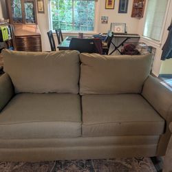 Lazy Boy fold out couch/sleeper sofa