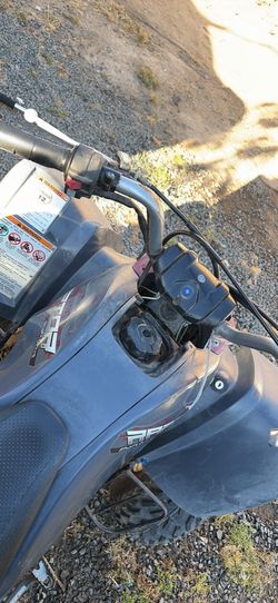 Yamaha raptor 80 4 stroke thumb throttle