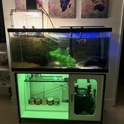 75 Gallon Tank (Turtle)
